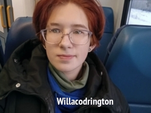 Willacodrington