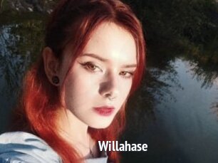 Willahase