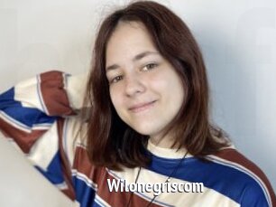 Wilonegriscom