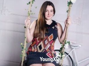 YoungXDi