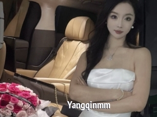 Yangqinmm