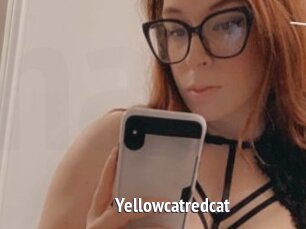 Yellowcatredcat