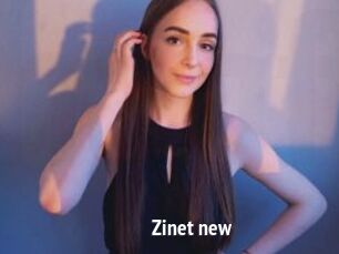 Zinet_new