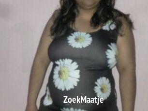 ZoekMaatje
