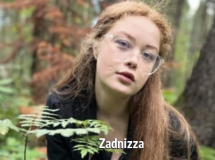 Zadnizza