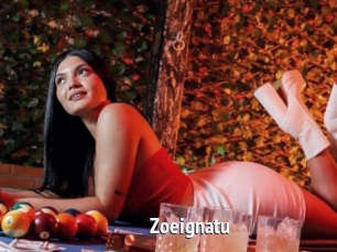Zoeignatu